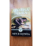 Риганте. Книга 1: Меч в бурята - Дейвид Гемел