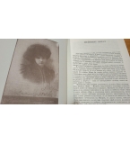 Лора - Яворов. Писма и документи - Ганка Найденова-Стоилова