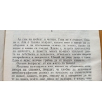 Какво е глава патила - Юозас Балтушис