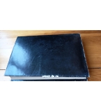 Алкивиад Велики; Белот на две ръце - Вера Мутафчиева