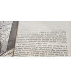 Последният Асеновец. Боянският майстор - Фани Попова-Мутафова