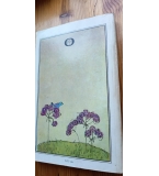 Тайната градина - Франсис Ходжсън Бърнет