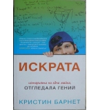 Искрата - Кристин Барнет